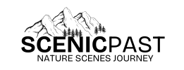 scenicpast.com